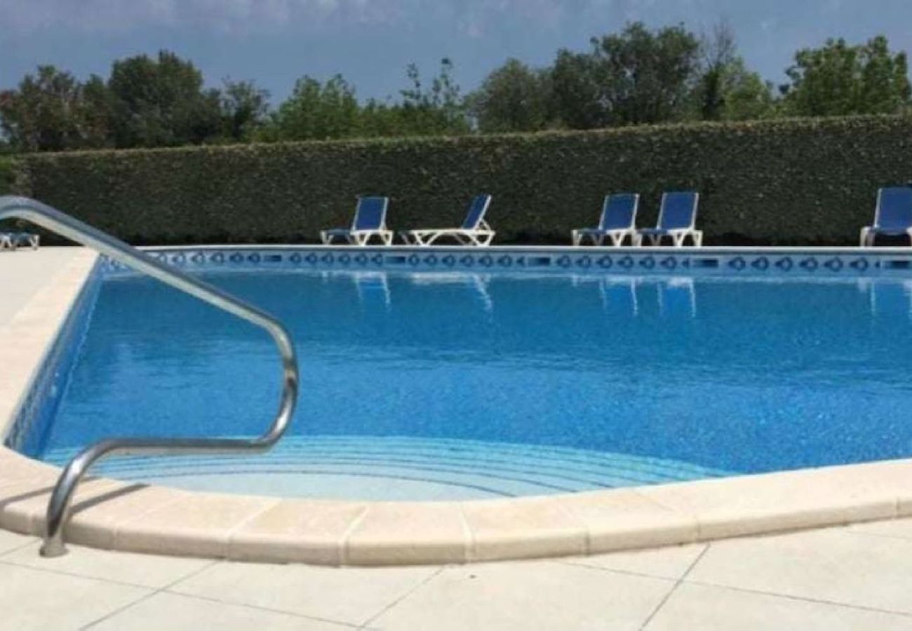 Appartement à Saint-Cyprien - Appart de standing avec piscine proche plage