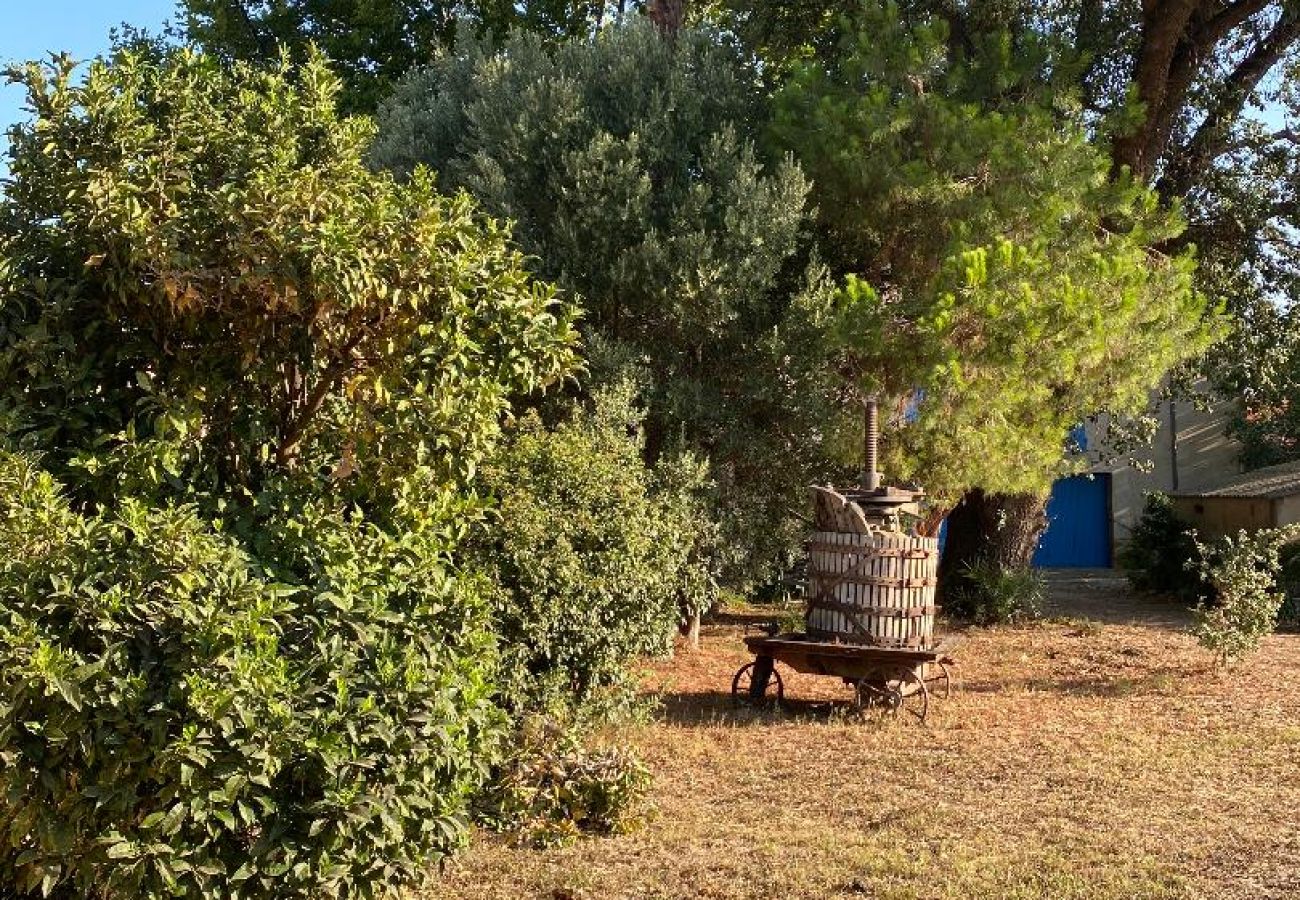 Villa à Latour-Bas-Elne - Typique mas catalan avec piscine et à 5minutes des plages