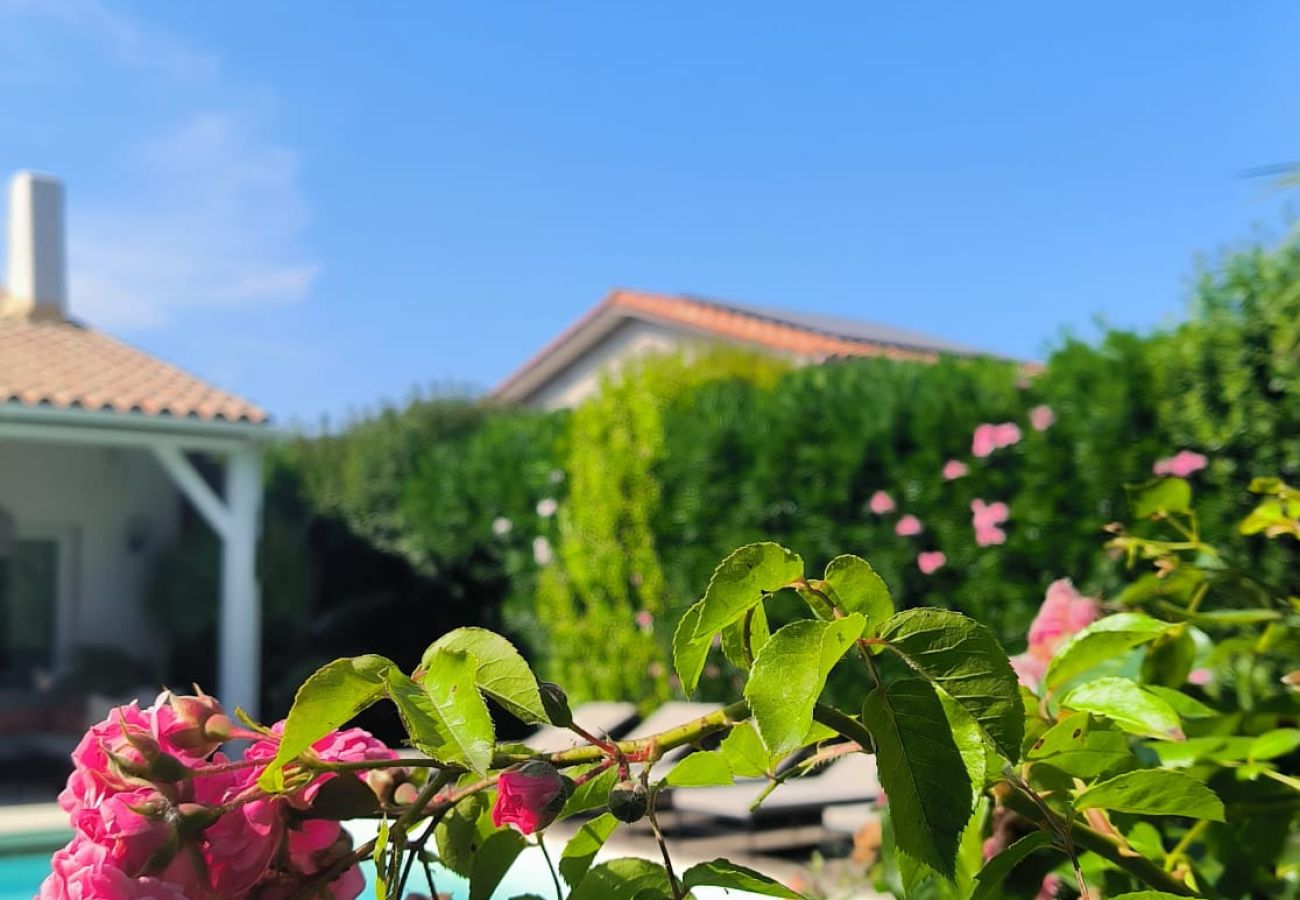 Villa à Saint-Cyprien - VILLA de charme avec piscine et jardin en bord de mer