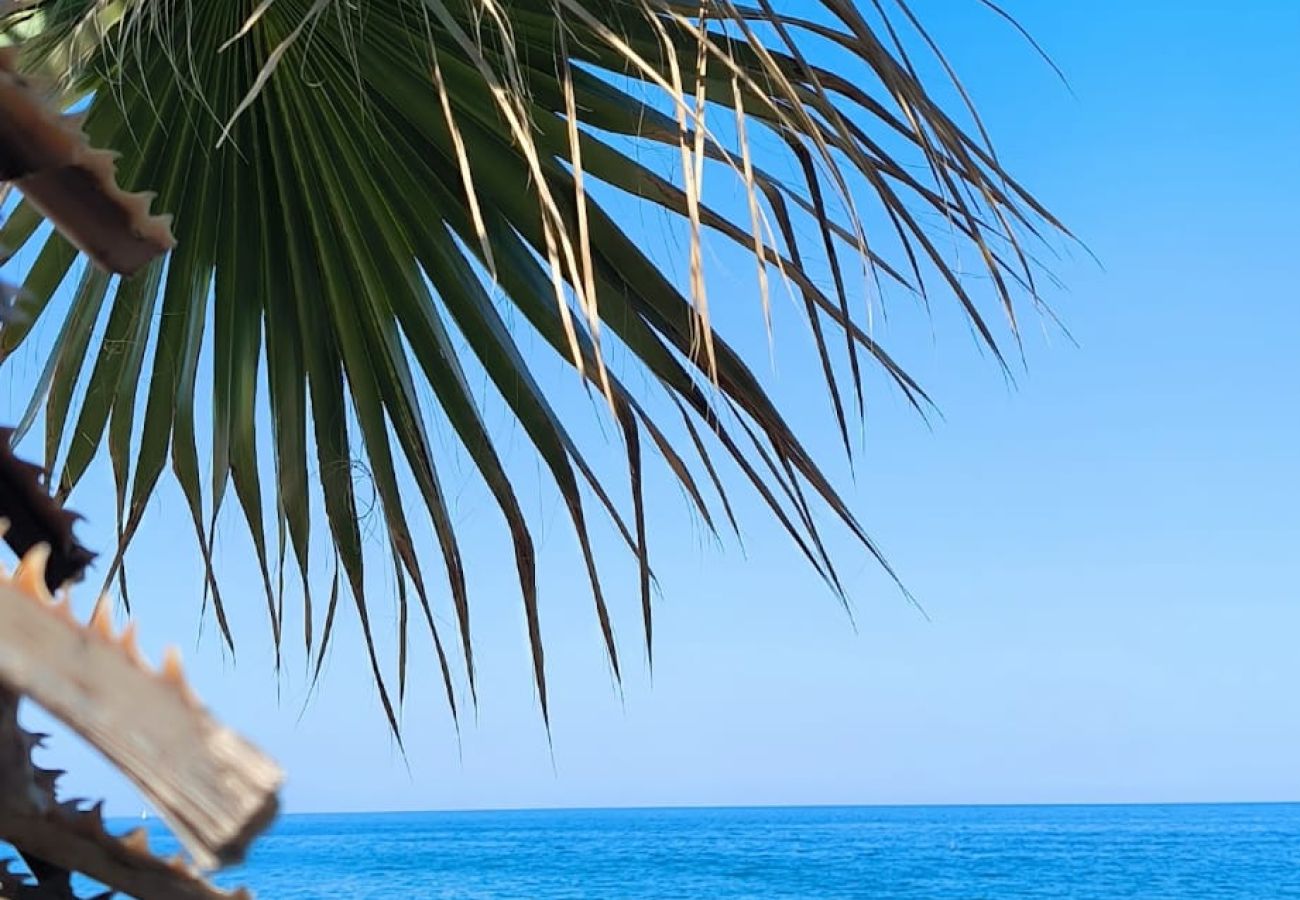Appartement à Argeles sur Mer - Argeles sur Mer T2 150m des plages de sable fin