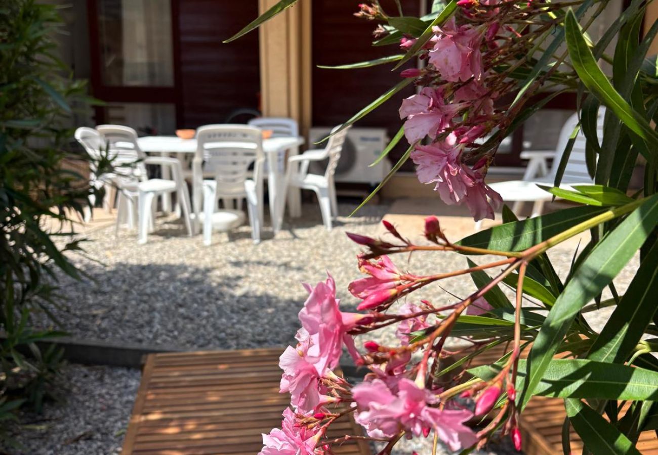 Appartement à Saint-Cyprien - Superbe appart au golf de St Cyprien Piscine